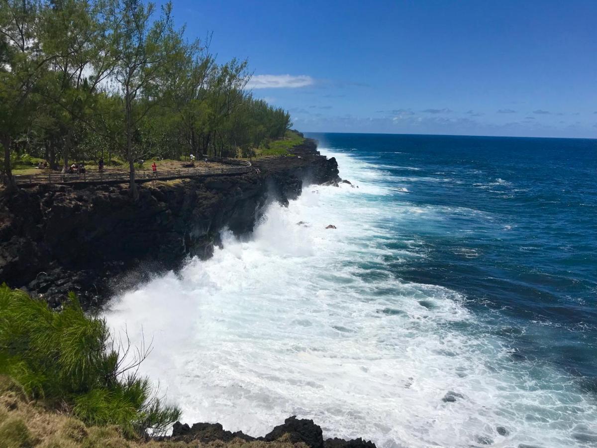 Lounge Des Hauts, 3 Maisons A L'Etang-Sale Avec Vue Sur L'Ocean Indien Et La Foret Luaran gambar